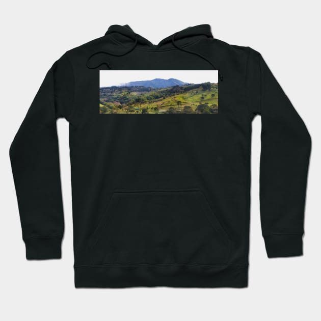 How green was my Costa Rican valley Hoodie by Jim Cumming